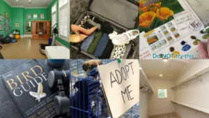 19+ Brilliant Empty Nest Ideas To Reclaim Your Life