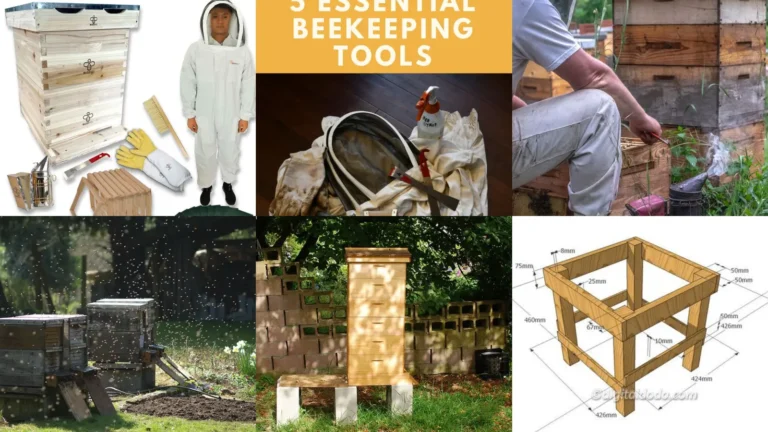 15+ Genius Beekeeping Starter Ideas That Explode
