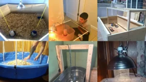 20+ Genius Chicken Brooder Ideas That Transform Chick Raising