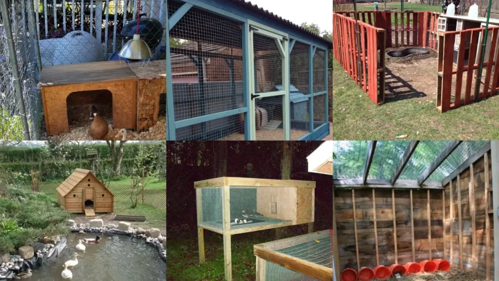17+ Clever Duck Pen Ideas That Save Space & Money