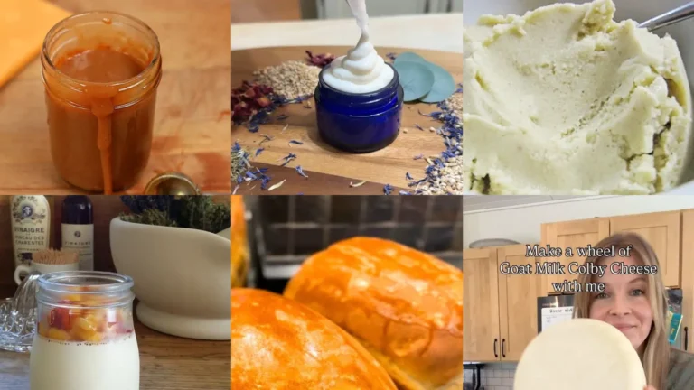 19+ Creamy Goat Milk Recipes Ideas That Taste Luxe