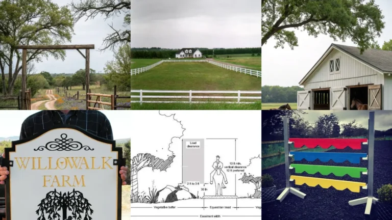 15+ Stunning Horse Farm Ideas That Transform Rural Living