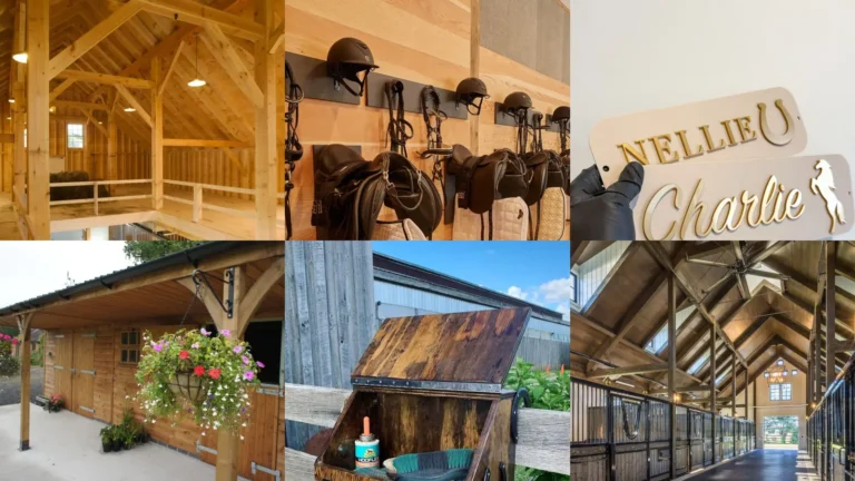 20+ Horse Stable Ideas That Transform Your Farm