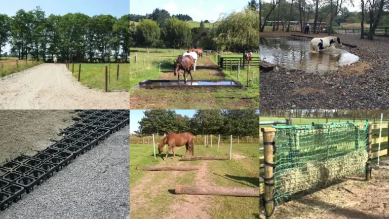 20+ Genius Paddock Paradise Ideas Horse Owners Swear By