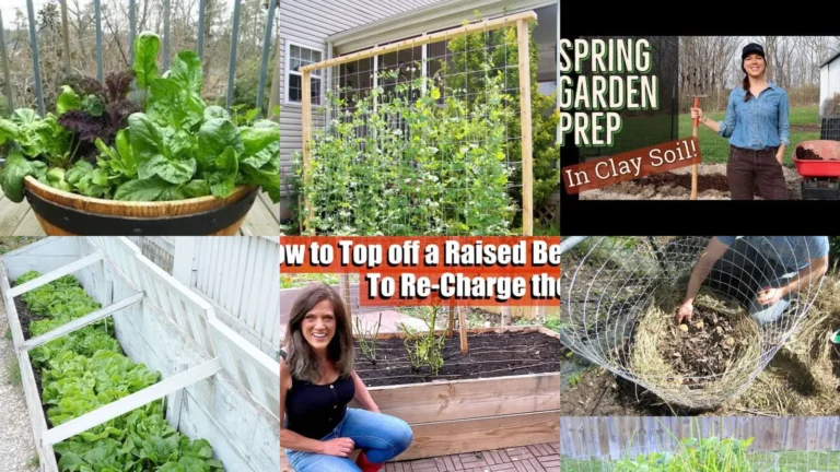 27+ Spring Gardening Ideas Vegetable Garden Experts Swear By