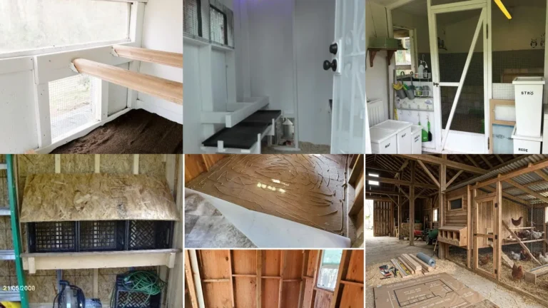 20 Chicken Coop Interior Ideas and Extra Details Worth Saving