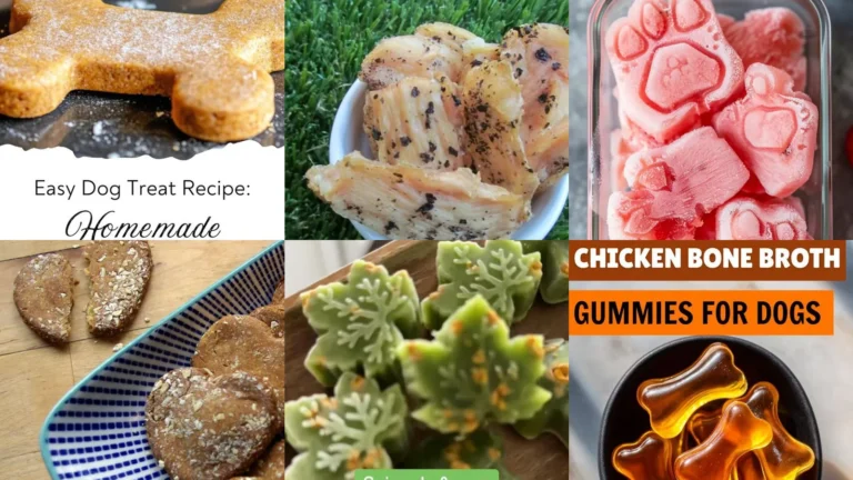20 Dog Treat Ideas to Browse Before Choosing Grain Free Recipes