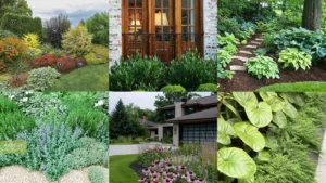 16+ Stunning Landscape Plants Ideas That Transform Any Yard